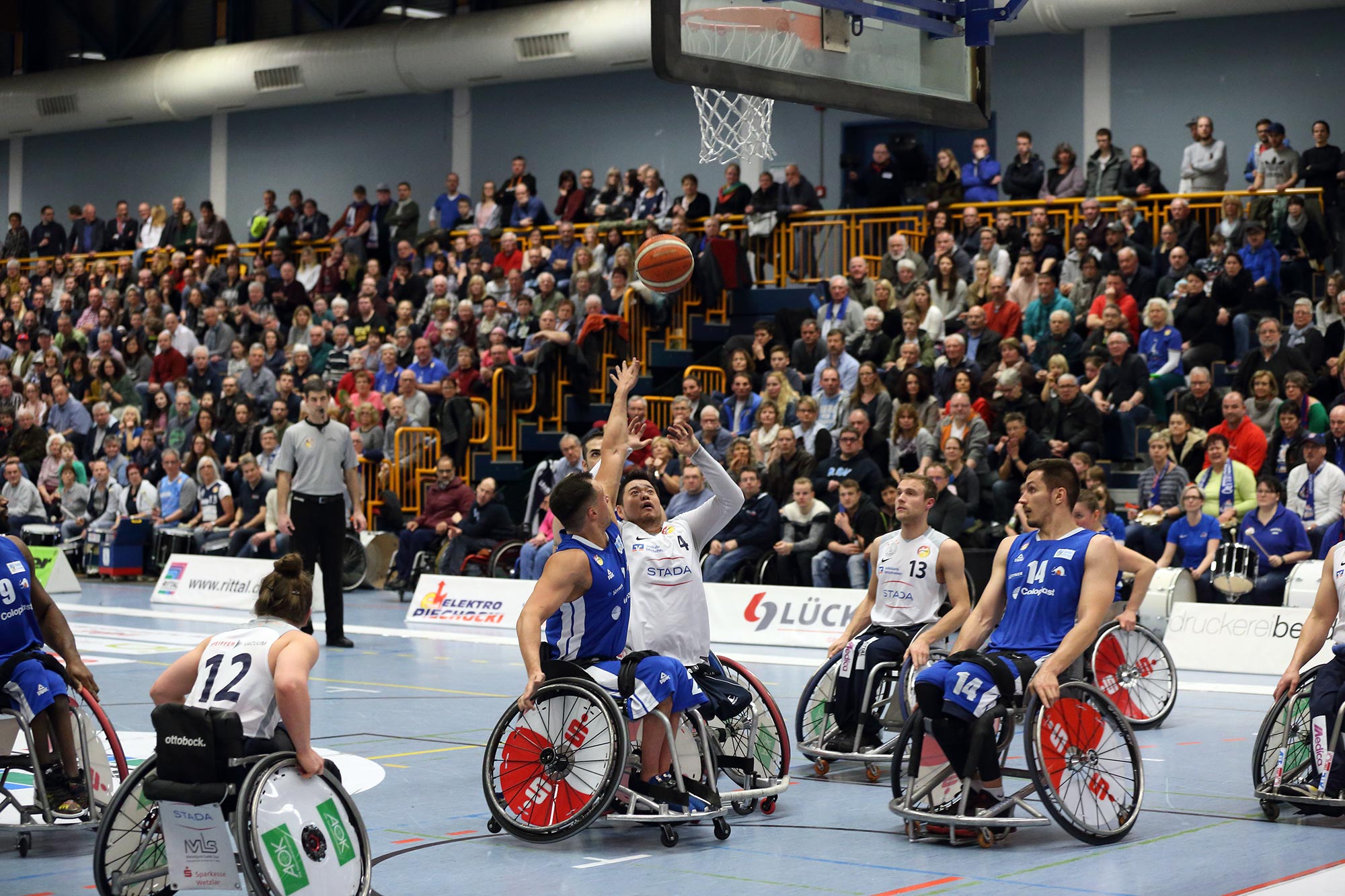 7シーズンにわたりドイツの1部リーグでプレー